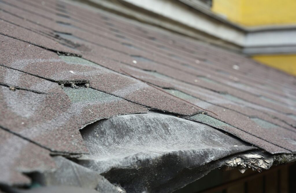 3 Signs of Damaged Shingles You Should Never Ignore