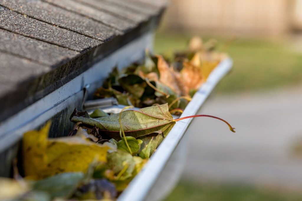 3 Roof Maintenance Tips for this Fall from our McAllen Roofers